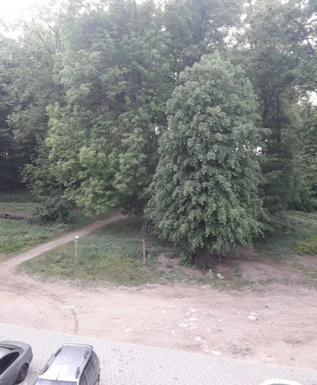 Двухкомнатные апартаменты на побережье Балтийского моря