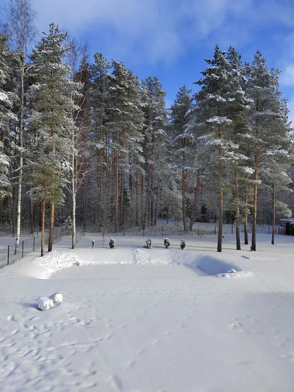 Коттедж Дом у леса — Порхово