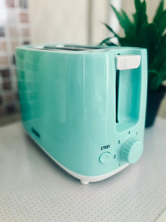 В гостях у Алисы