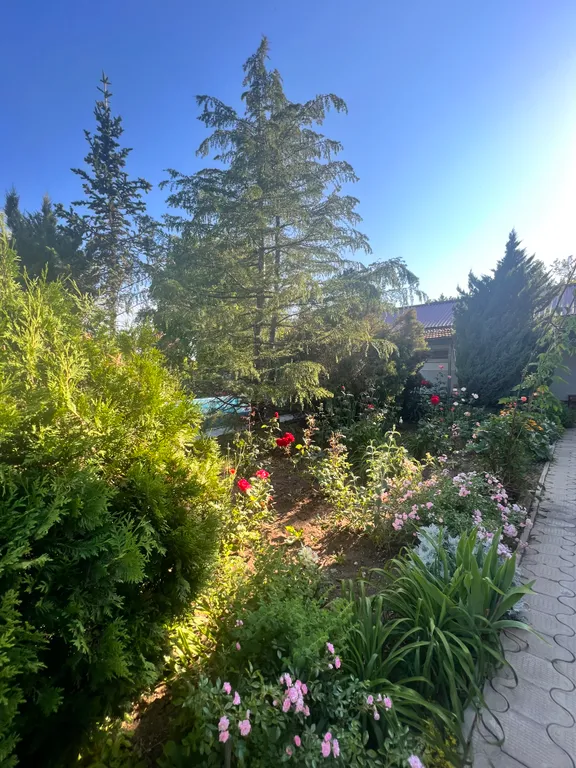 С бассейном рядом с морем