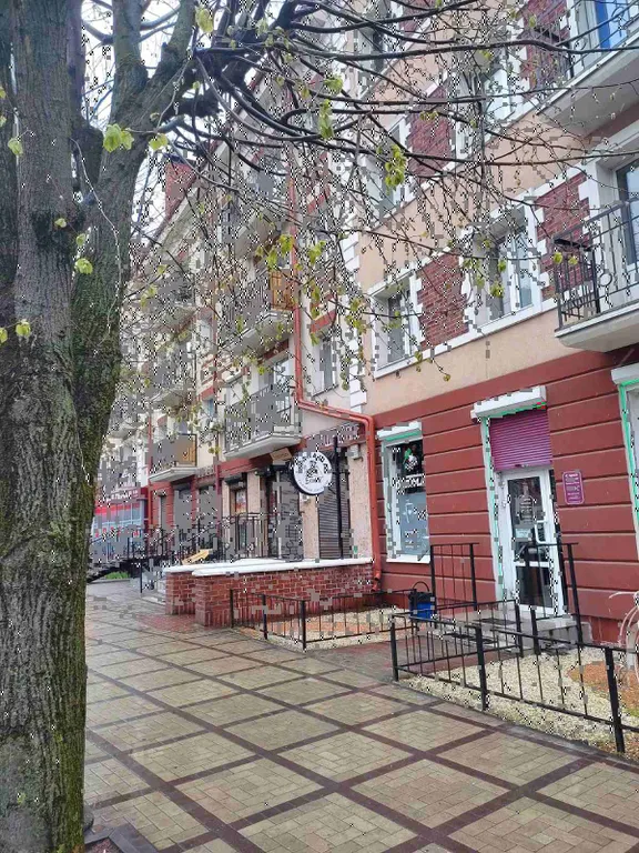 Квартира 1-комнатная Квартира — Калининград