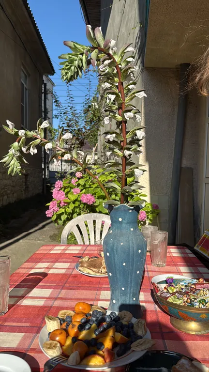 Гостевой дом в центре с зоной отдыха на большую компанию