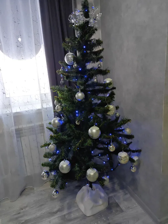 Уютная студия