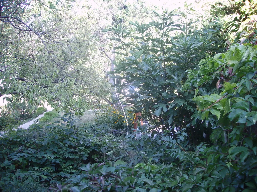 Номер гостевого дома с уютным крымским двориком