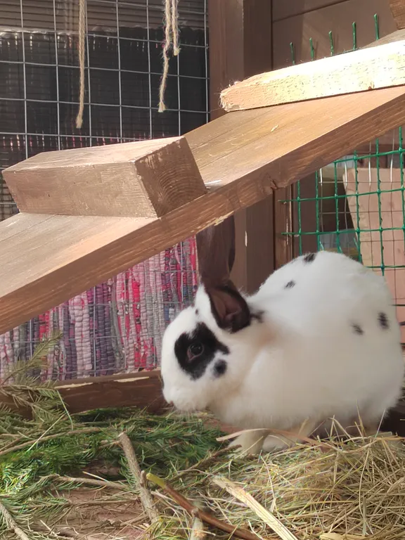 Купеческий дом