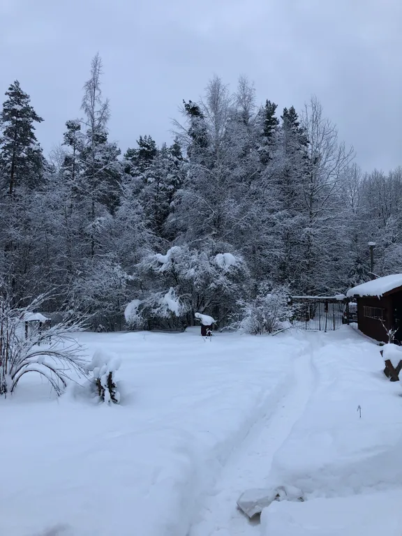 Домик в деревне