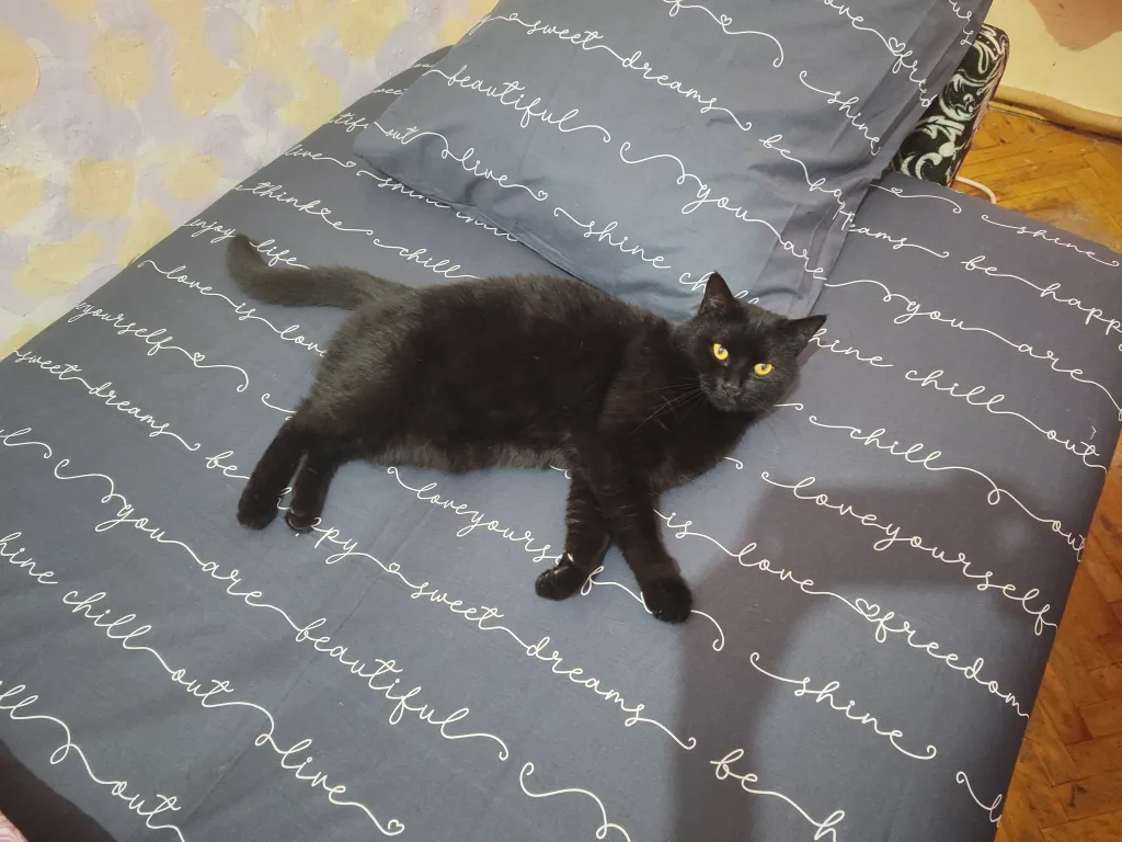 Квартира Комната c 2 отдельными кроватями — Санкт-Петербург