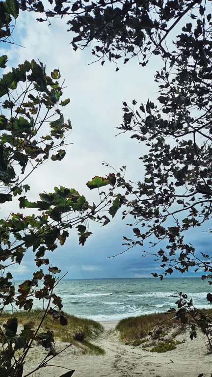 Барнс дача у моря