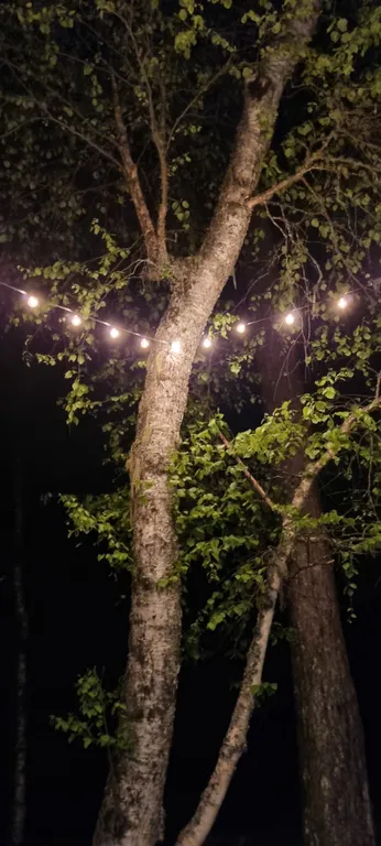 Коттедж Домик на Софийской поляне рядом с лесом и речкой — Архыз