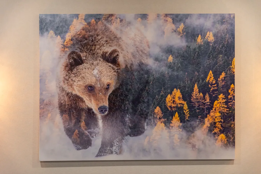 Апартаменты Forest-Wood