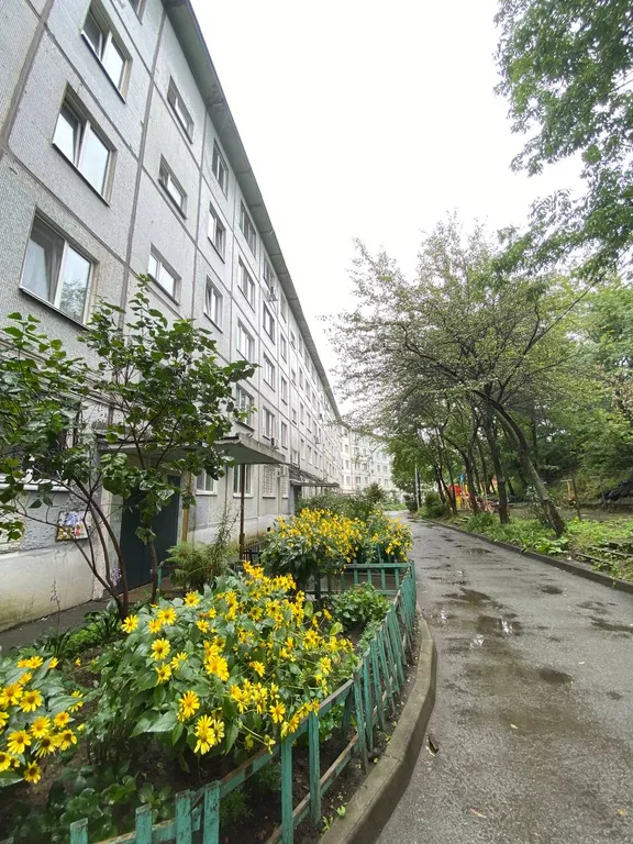 Квартира Комфортная квартира в 5 минутах от парка и с видом на город — Владивосток