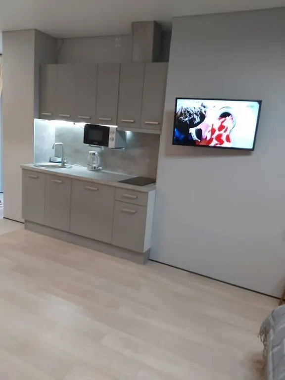 Дизайнерская студия у моря Зебра