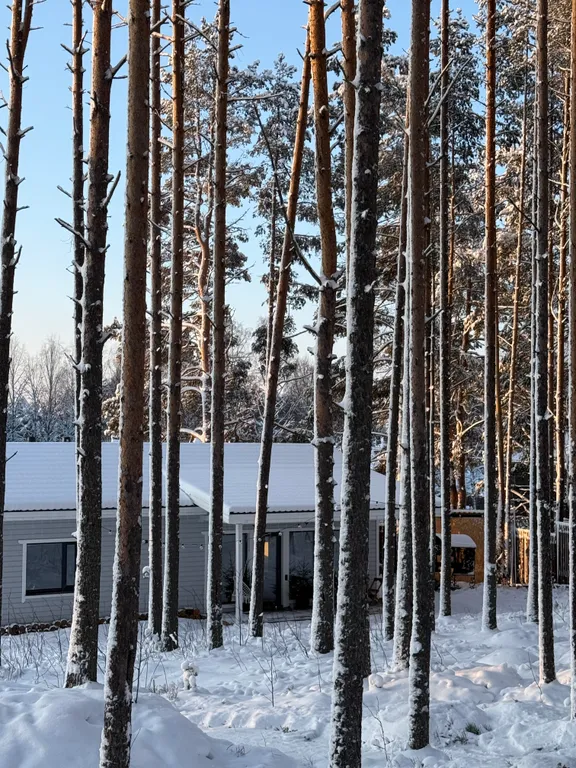 Уютный дом с живописным видом на лес