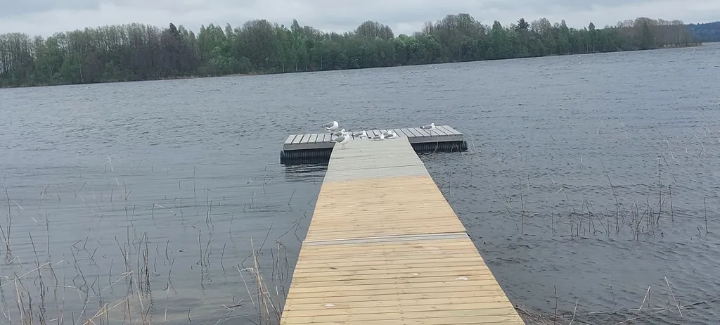 Гостевой дом Чайкина дача