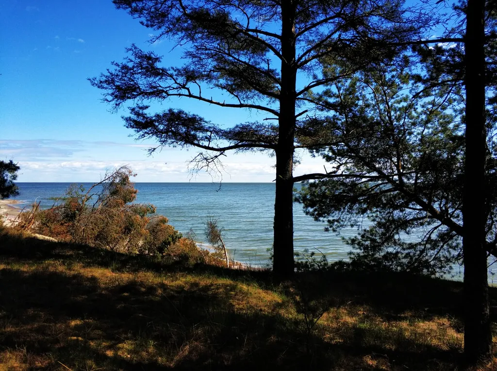 Квартира Уютная квартира рядом с морем — Зеленоградск