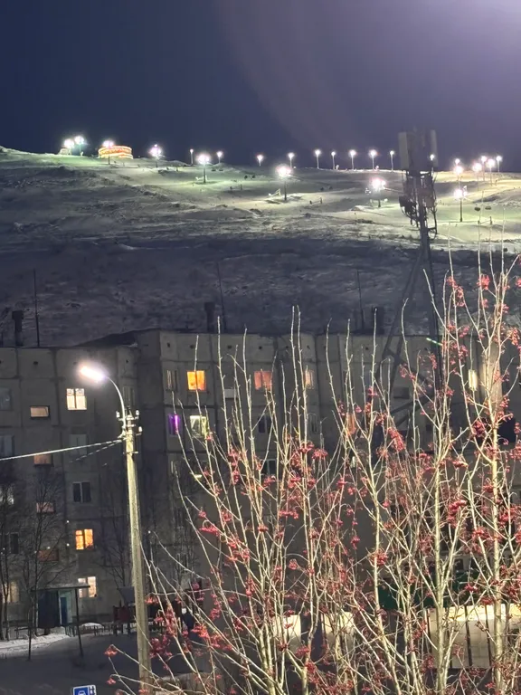 Уютная квартира возле горнолыжного склона Big Wood