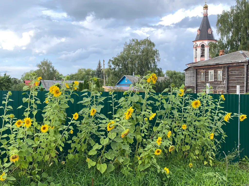 Уютный дом недалеко от Плещеева Озера