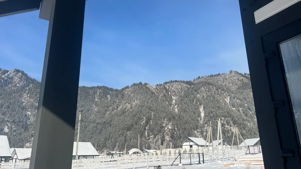 Альпис резидент