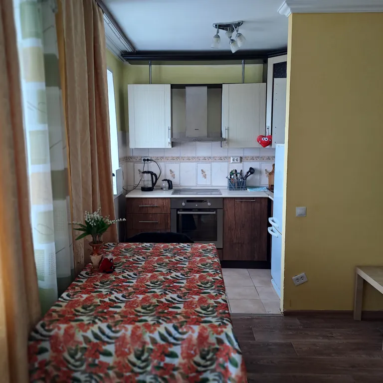 Уютная квартира с прекрасным видом на Иртыш, рядом с Кремлем