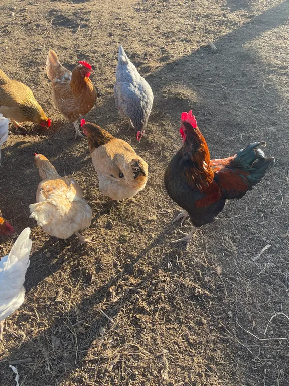 Дом с баней на берегу реки Волга с большой территорией