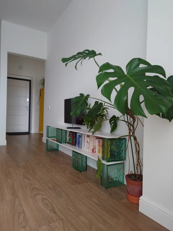 Королевский палтус