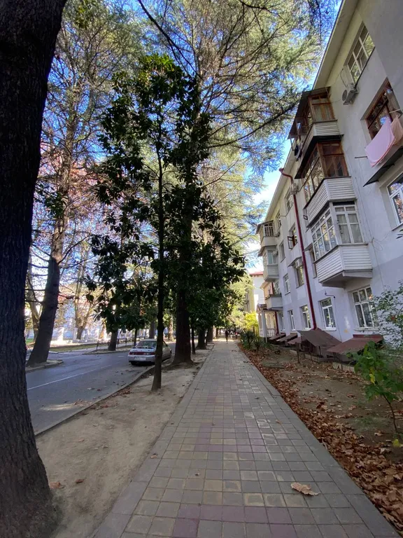 Best apartment in Khosta