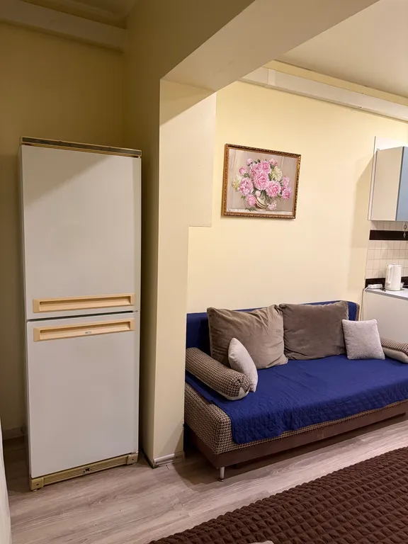 Чистая, уютная квартира, 3 дивана