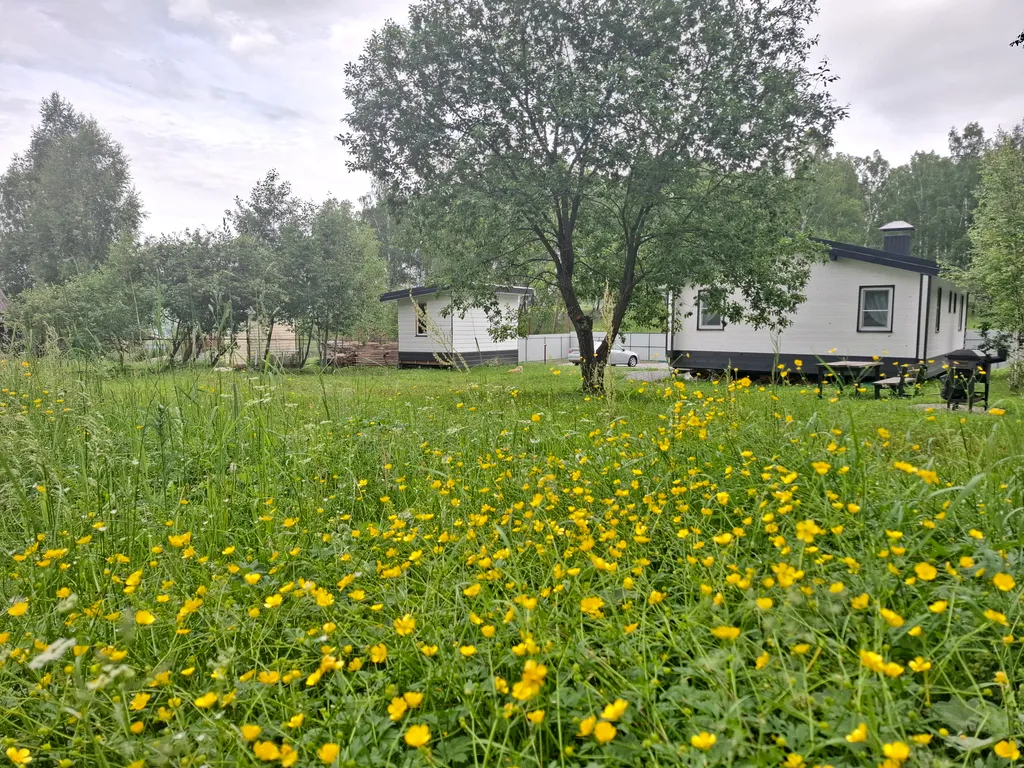 Дом в лесу с большой террасой