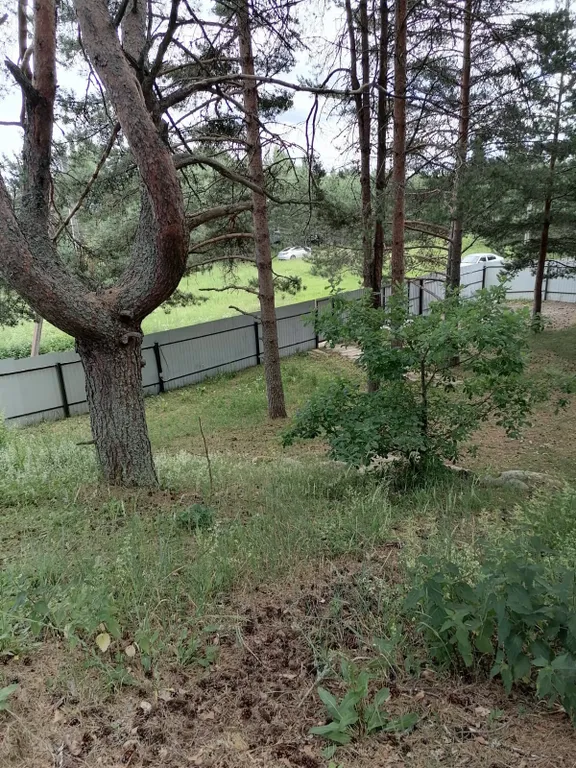 Домик на горе