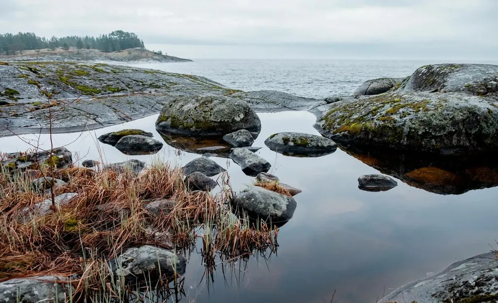 Дом с русской жаркой баней в Карелии