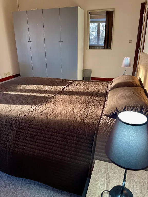 Люкс с кондиционером, кроватью и диваном у аэропорта Внуково в 15 минутах