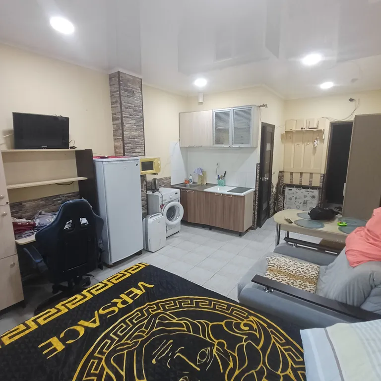 Уютная студия рядом с бальнеологическим центром Мацеста