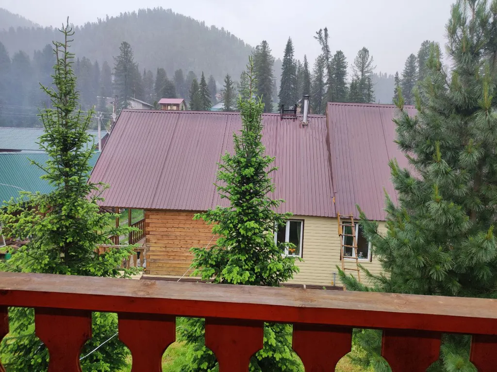 Кедровый номер с видом на горы