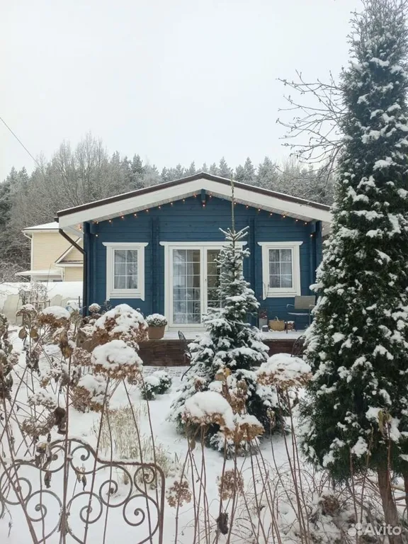 Коттедж Синий домик с банькой — Санкт-Петербург