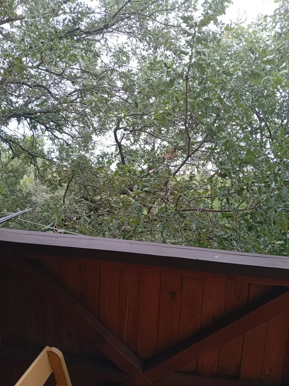 Комната в деревянном срубе