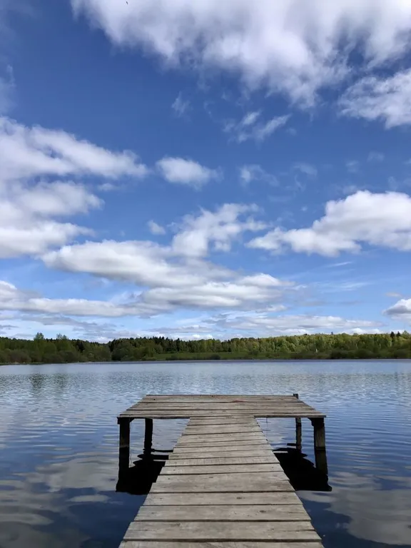 Коттедж Тини Хаус с мансардным окном от Дом Шелуха (Sheluha house) — Можайск