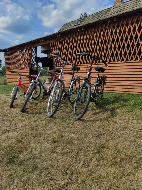 Отдых на территории гпу Беловежская пуща