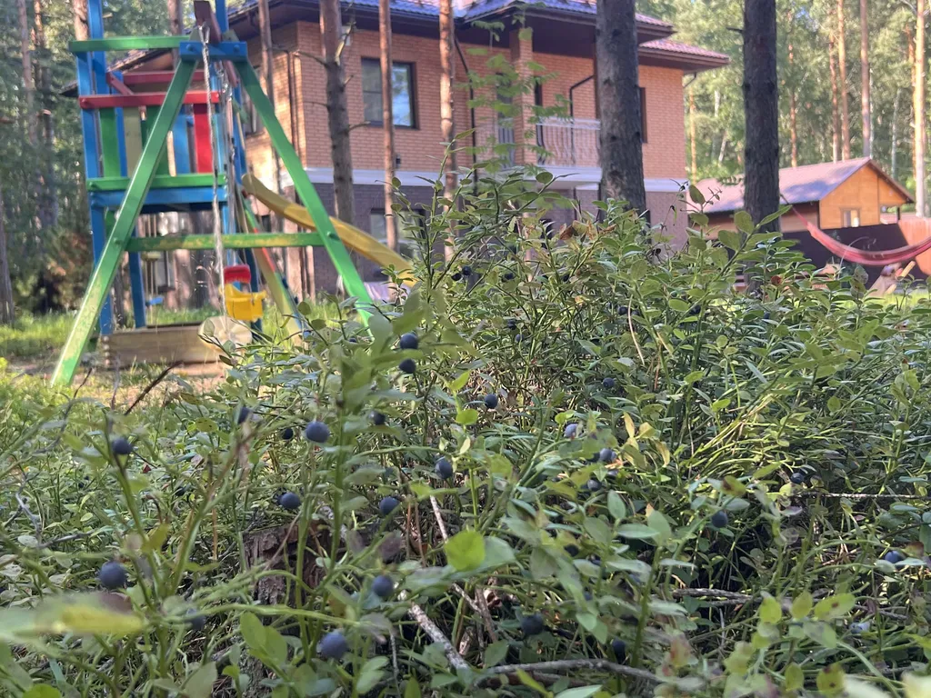 Коттедж Прекрасный загородный дом у Ладожского озера — Морье