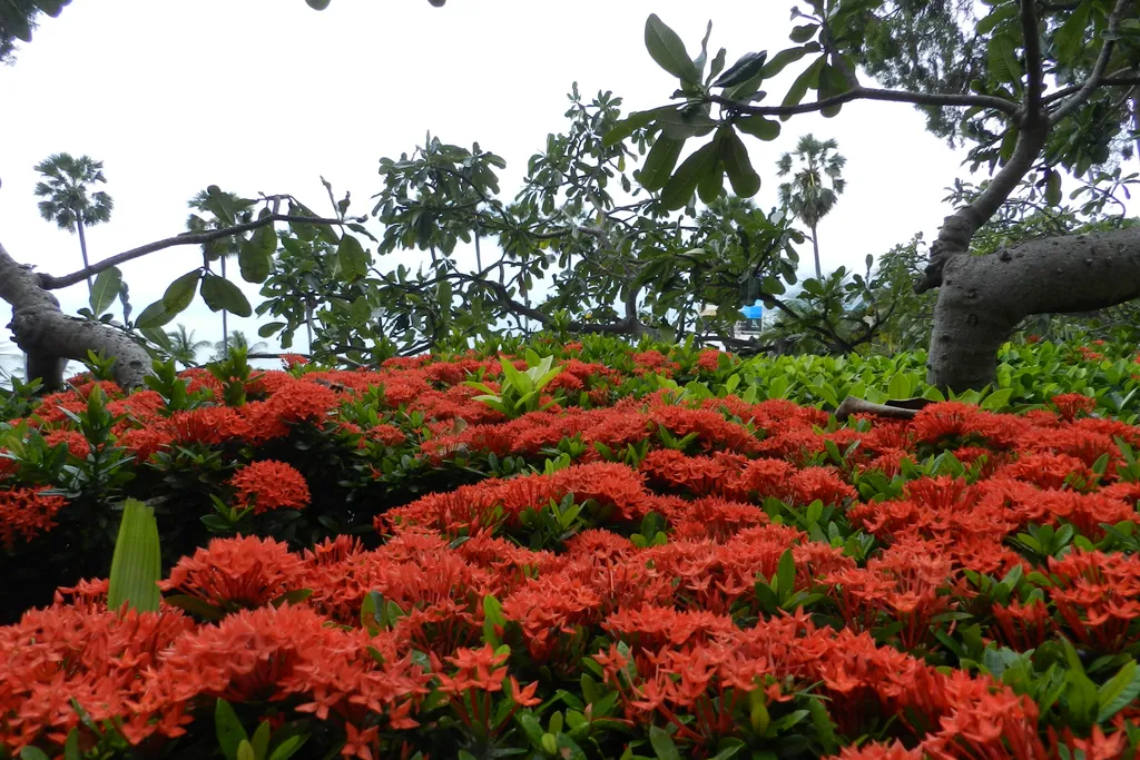 Студия с фронтальным видом на море