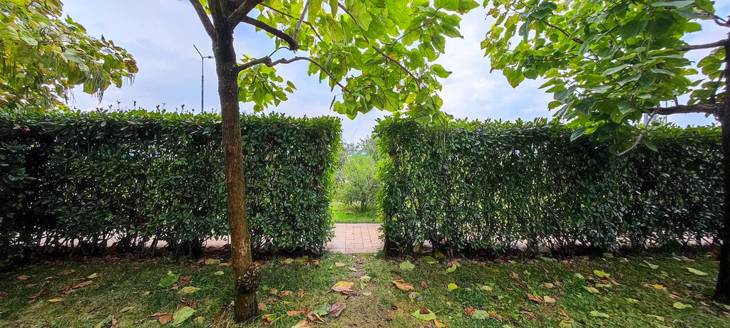 Квартира с выходом в сад -  Seagate