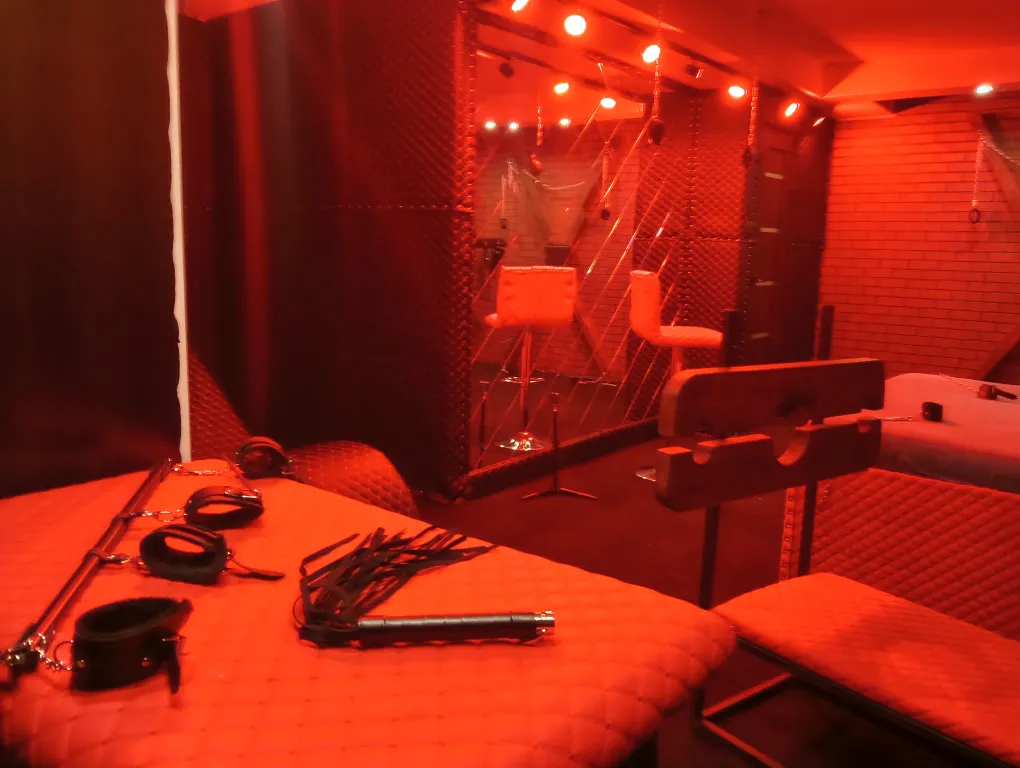 Тематическая квартира со строгой эстетикой доминации