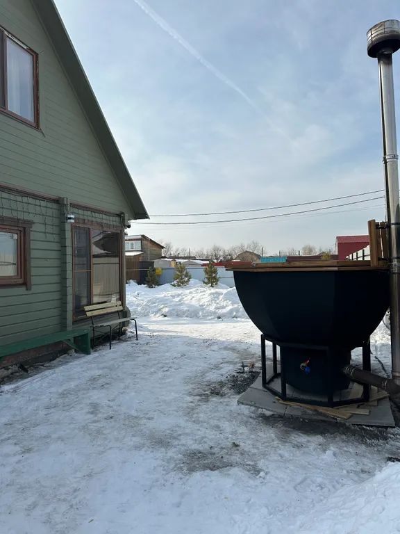 Дом-баня с бассейном и чаном