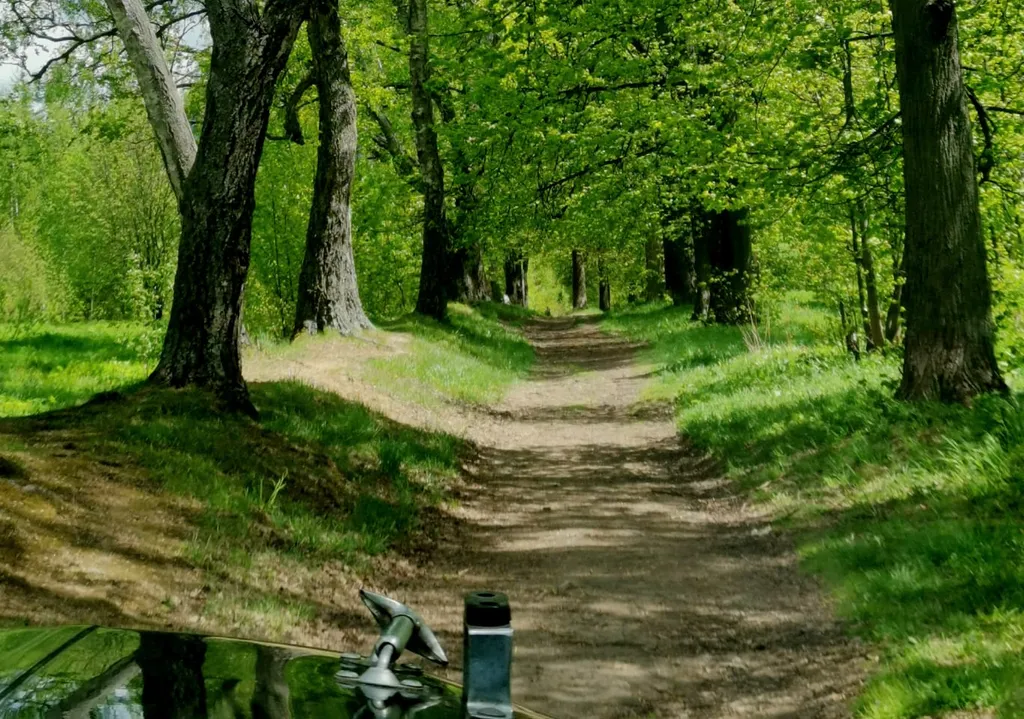 Уютный необычный домик Хоббита, экскурсии на ретроавто, мастер-классы