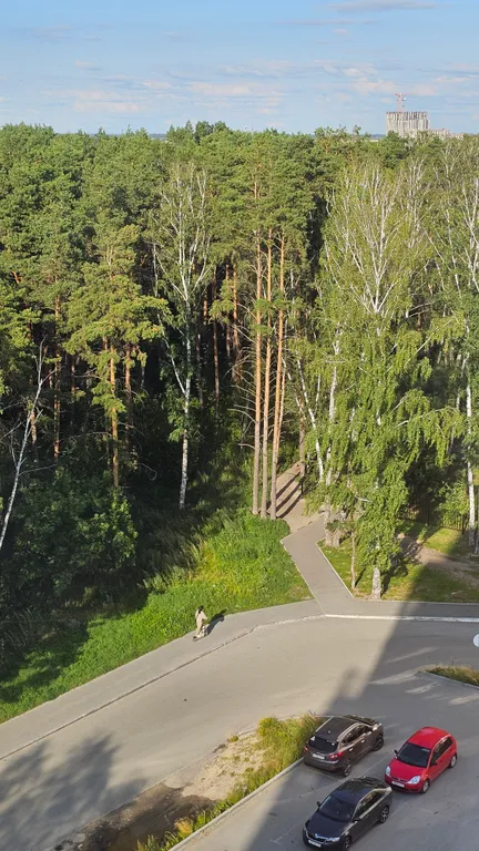 Квартира Уютная квартира в парке — Тюмень