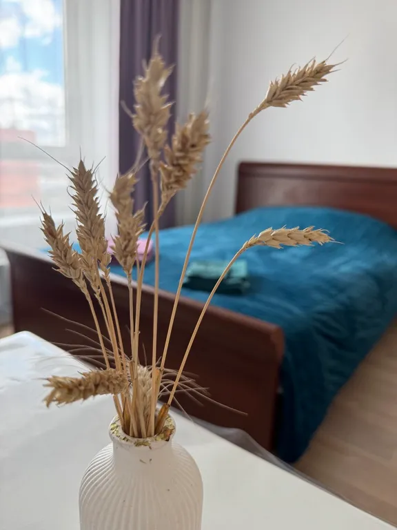 Квартира Уютная студия — аренда посуточно в Одинцово