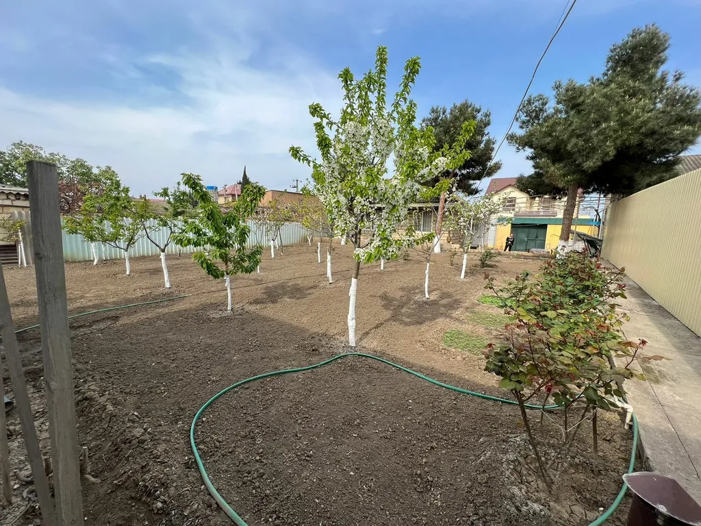 Уютная дача рядом с берегом моря