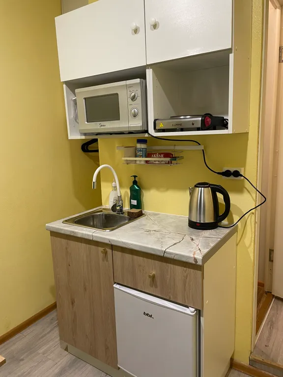 В гостях у гуся