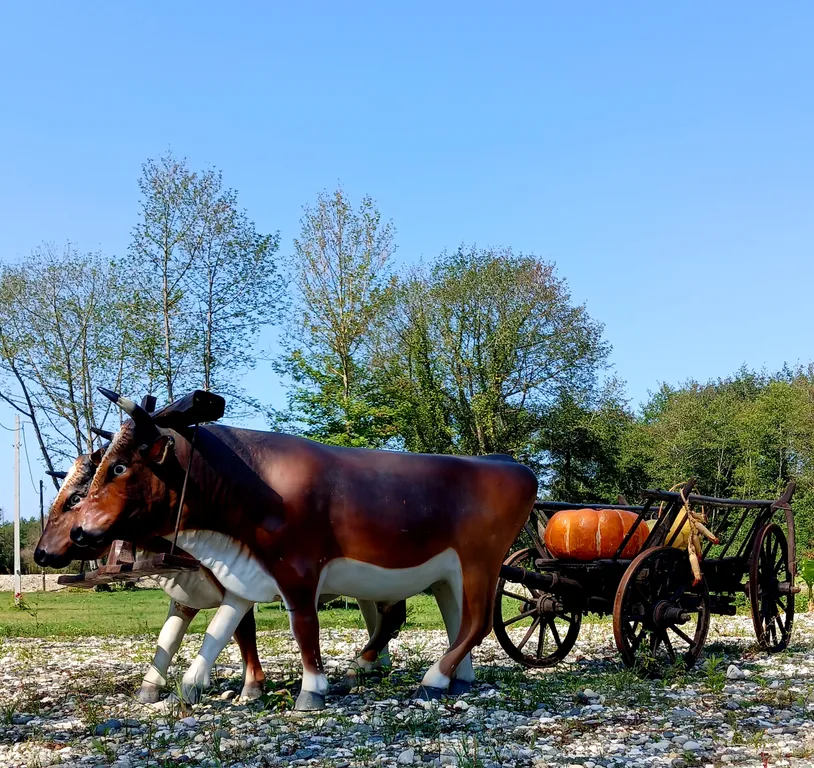 Круглогодичная база отдыха Слобода  Тамыш  Абхазия