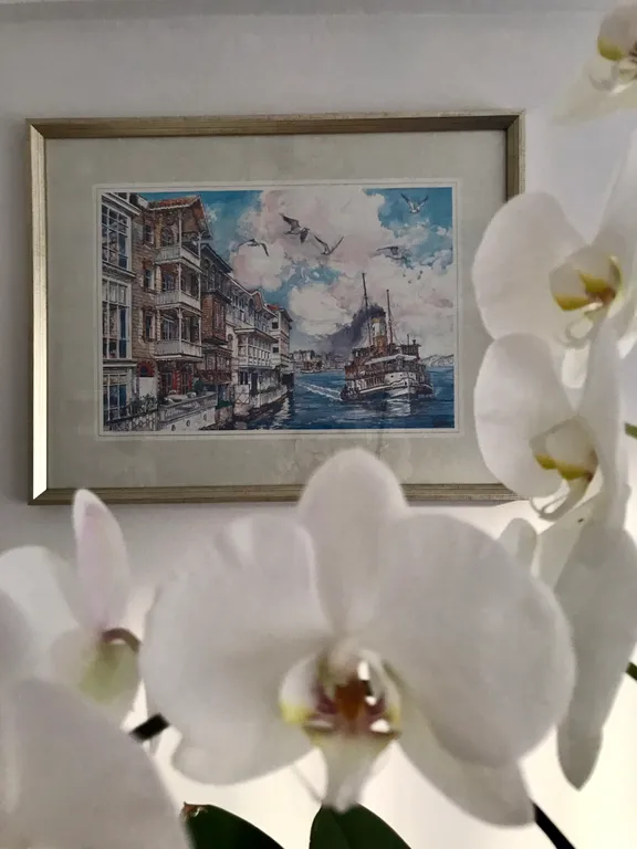 Уютная квартира в двух шагах от Босфора