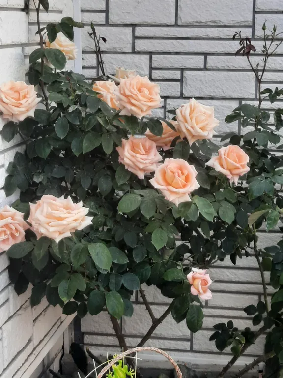 Уютный дом на берегу моря